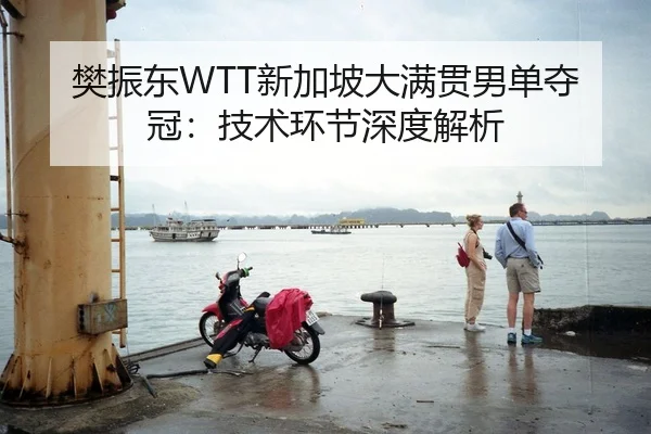 樊振东WTT新加坡大满贯男单夺冠：技术环节深度解析